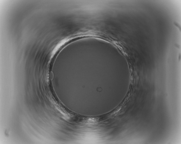 X0000100920056200807011316