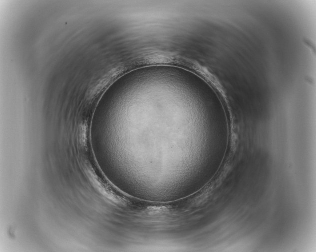 X0000100920057200807011316