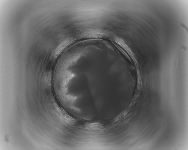 X0000100920058200807011316