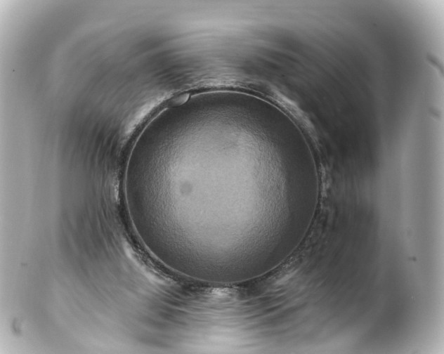 X0000100920060200807011316