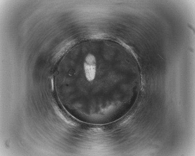 X0000100920061200807011316