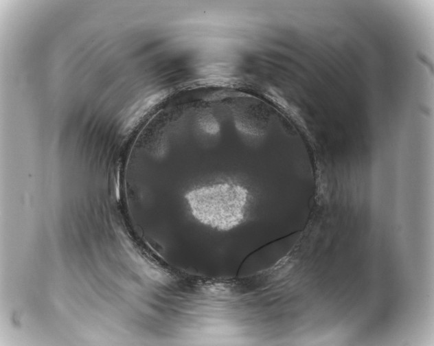 X0000100920062200807011316