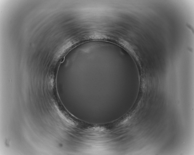 X0000100920063200807011316