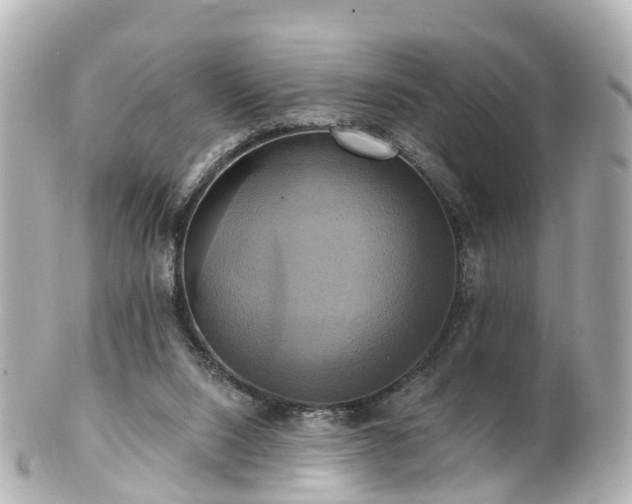 X0000100920064200807011316