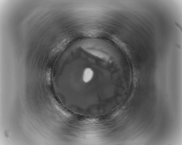 X0000100920065200807011316