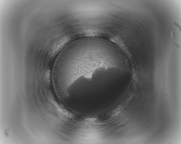 X0000100920066200807011316