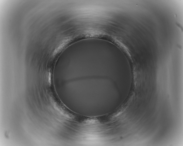 X0000100920067200807011316