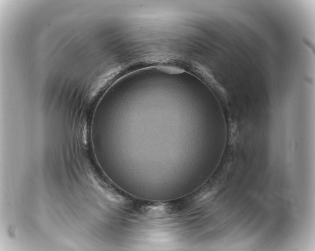 X0000100920068200807011316