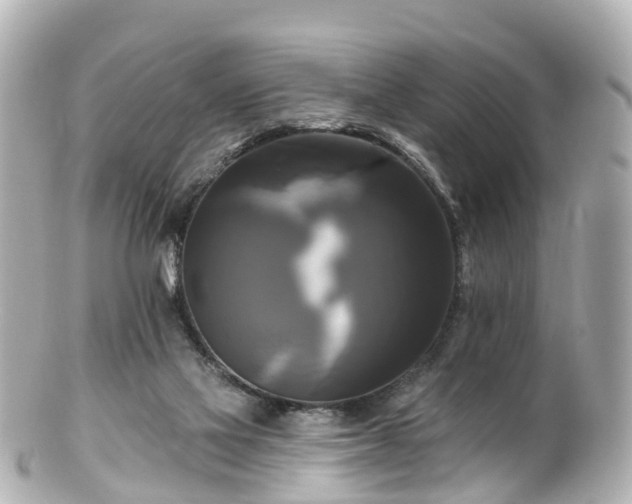 X0000100920069200807011316