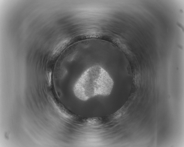 X0000100920070200807011316