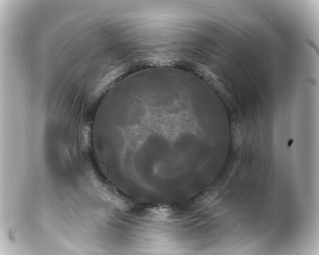 X0000100920071200807011316