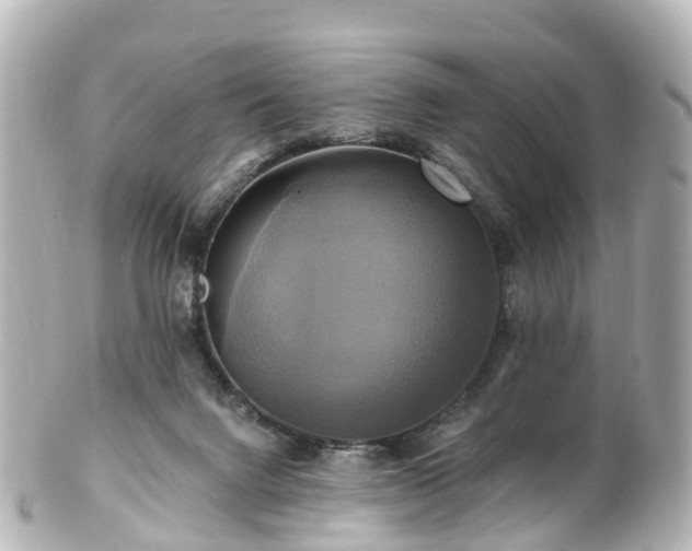 X0000100920072200807011316