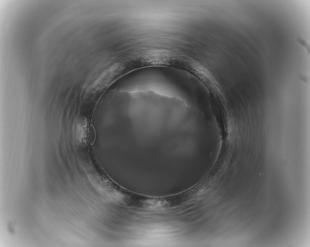 X0000100920073200807011316