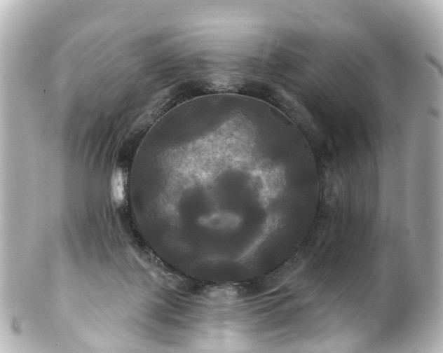 X0000100920075200807011316