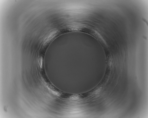 X0000100920076200807011316