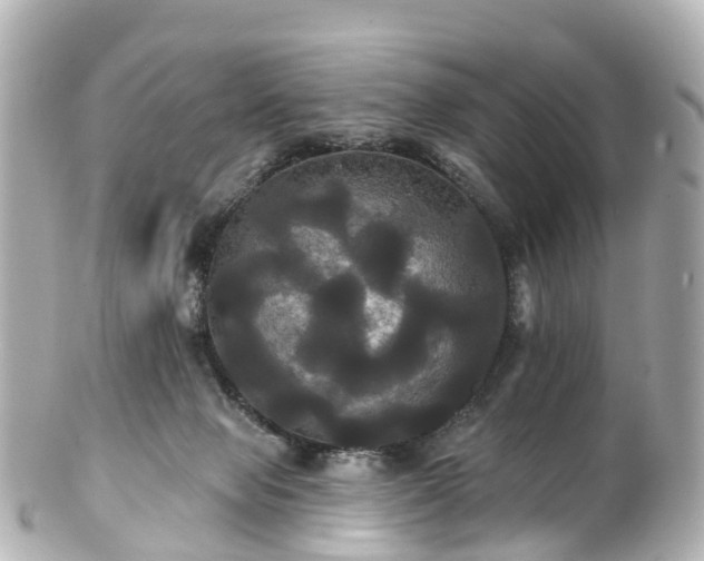 X0000100920077200807011316