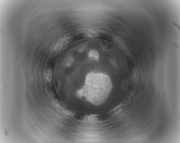 X0000100920078200807011316