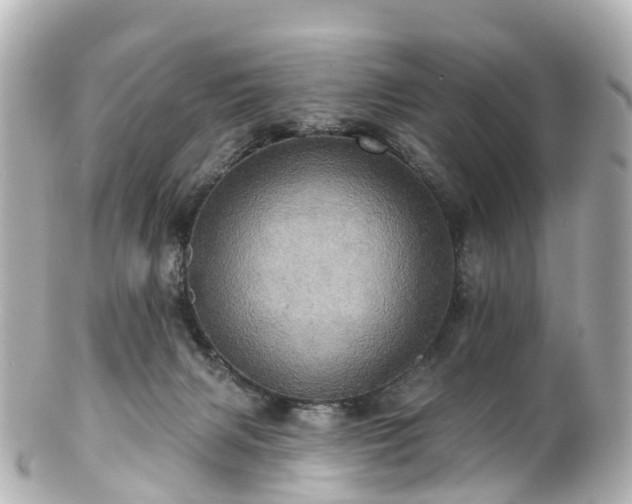 X0000100920079200807011316