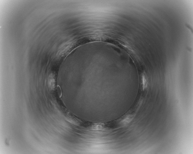 X0000100920080200807011316