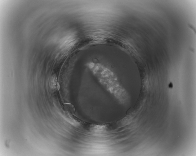 X0000100920081200807011316