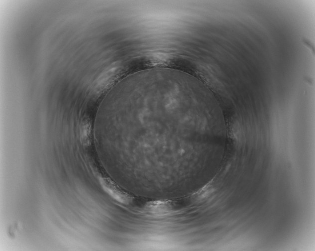 X0000100920082200807011316