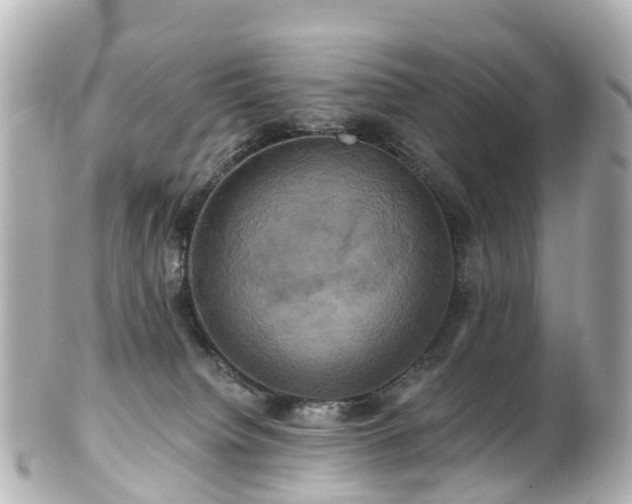 X0000100920084200807011316