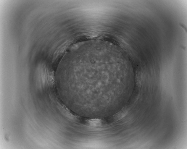 X0000100920085200807011316