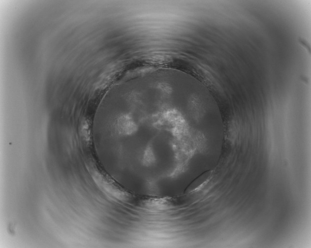 X0000100920086200807011316