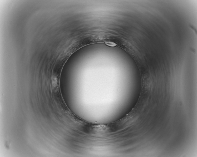 X0000100920087200807011316