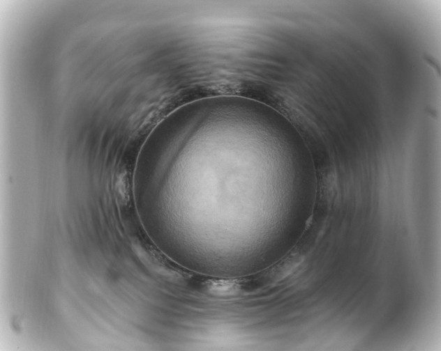 X0000100920088200807011316