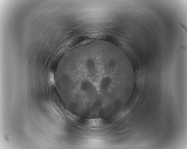 X0000100920089200807011316