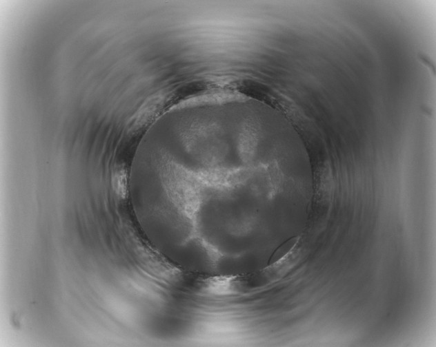 X0000100920090200807011316