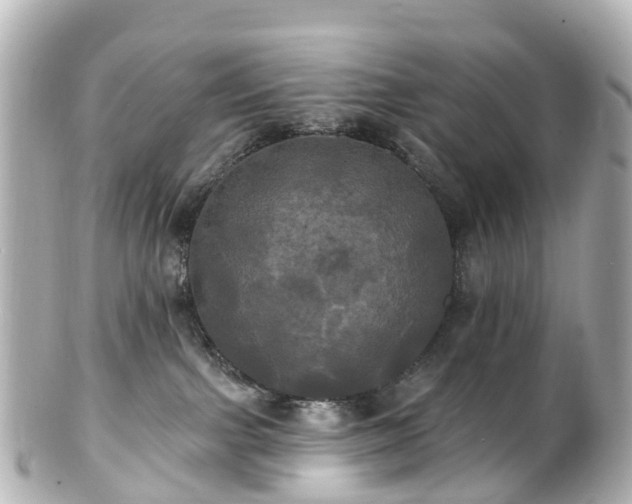 X0000100920091200807011316