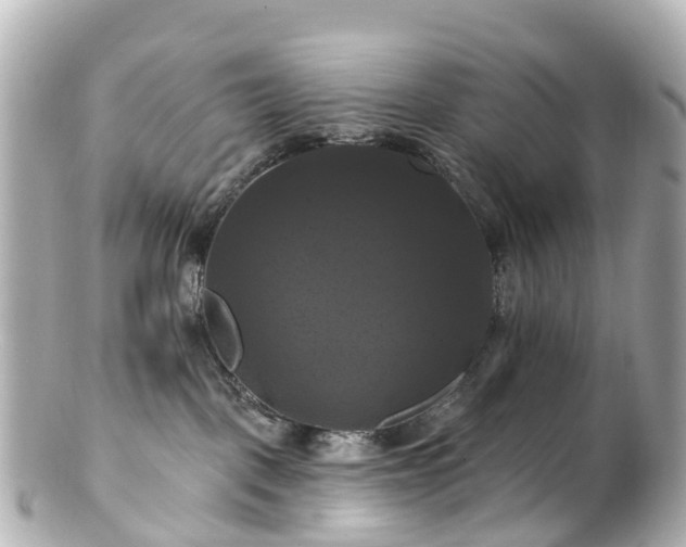 X0000100920093200807011316