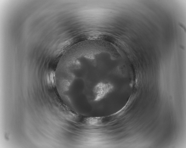 X0000100920094200807011316