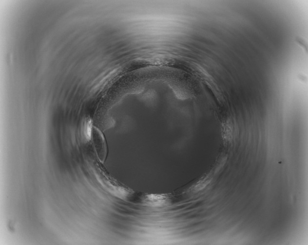 X0000100920095200807011316