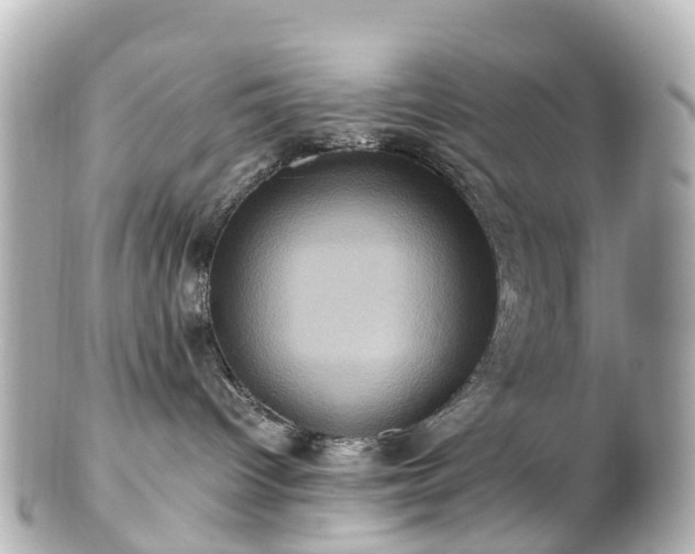 X0000100920096200807011316