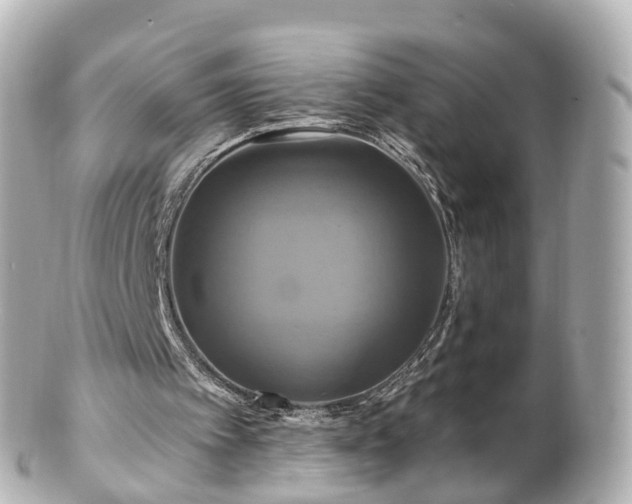 X0000100920097200807011316