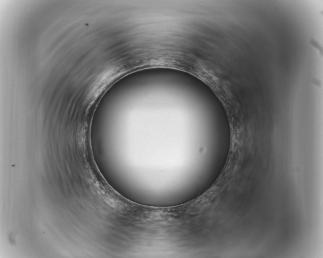 X0000100920098200807011316