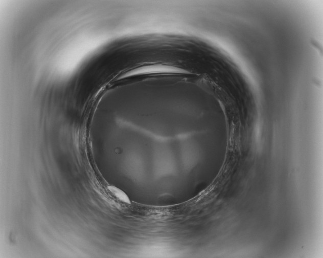 X0000100920099200807011316