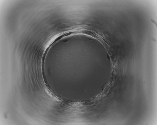 X0000100920100200807011316