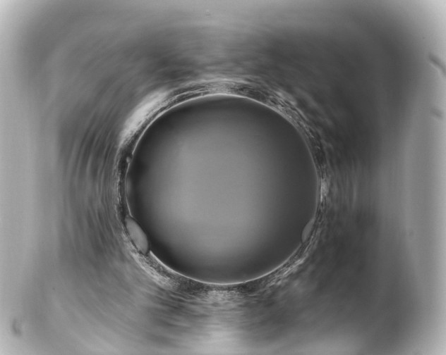 X0000100920101200807011316