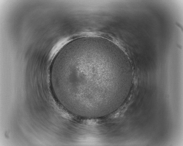 X0000100920103200807011316