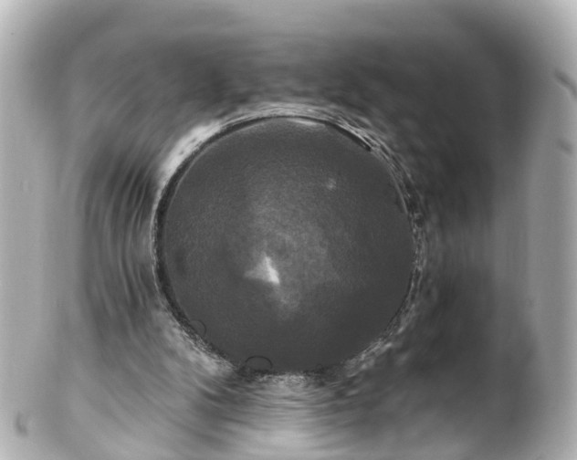 X0000100920104200807011316