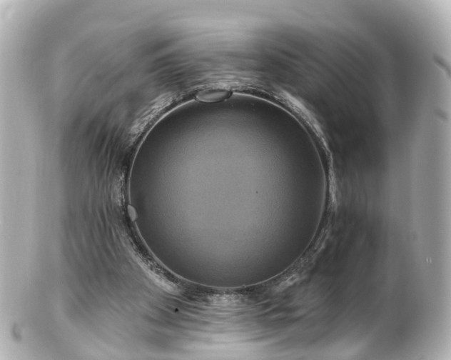 X0000100920105200807011316