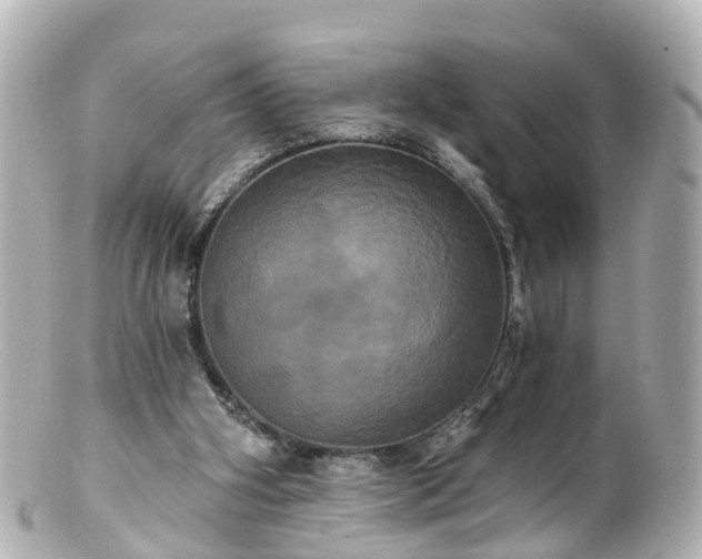 X0000100920106200807011316