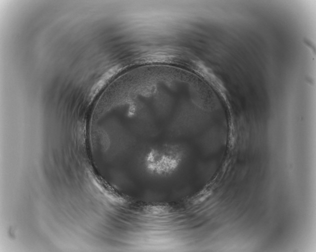 X0000100920107200807011316