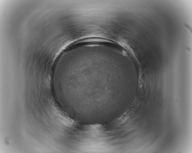 X0000100920108200807011316