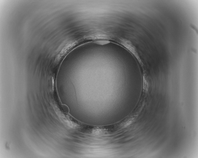 X0000100920109200807011316