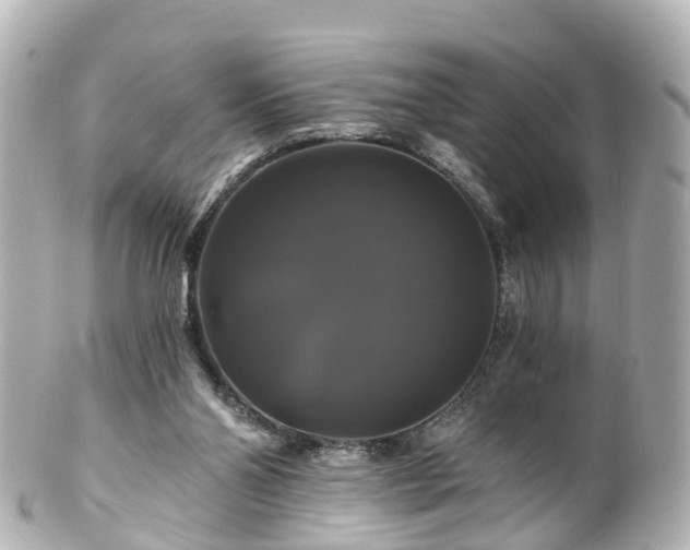 X0000100920110200807011316